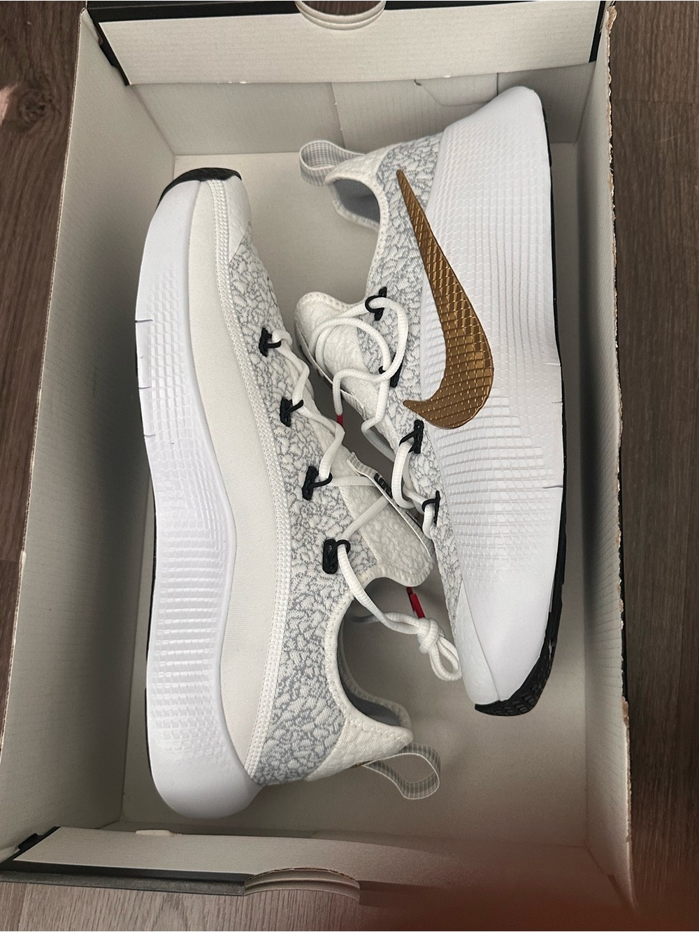 NWT - Nike Lebron TR 1 Shoes
